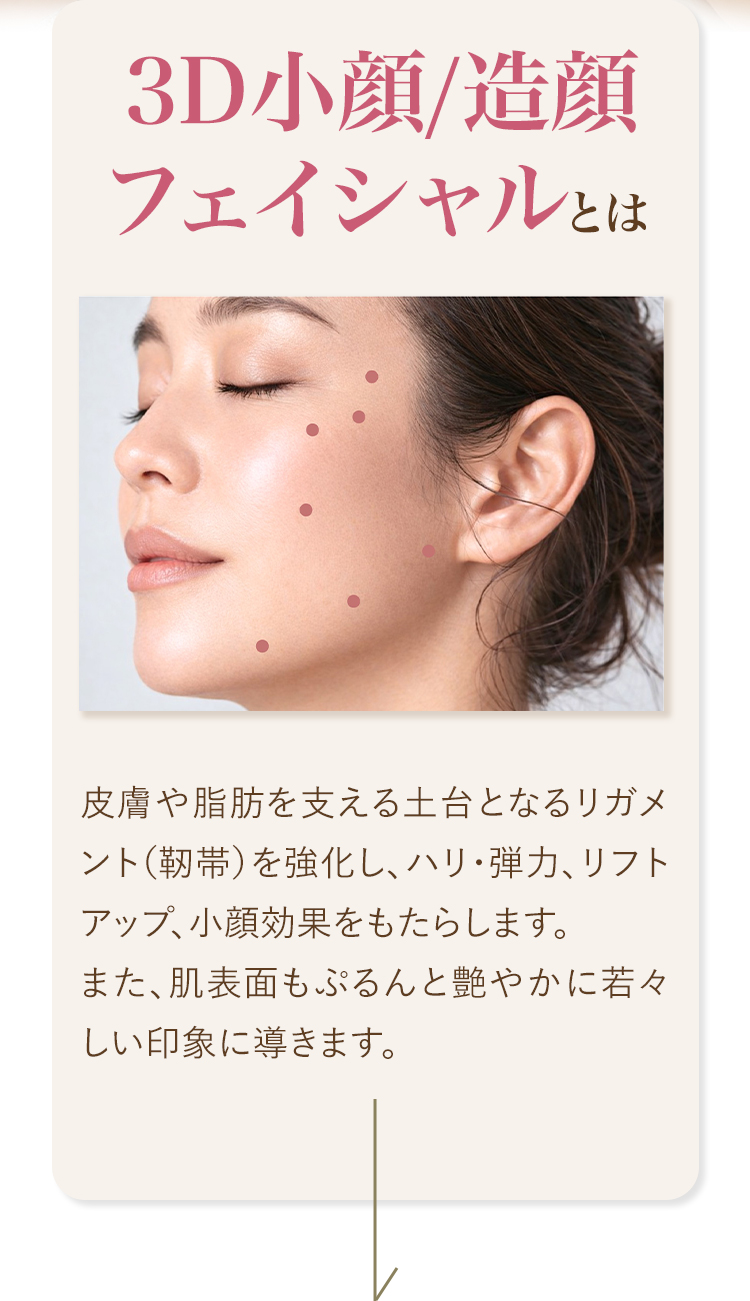 3D小顔/造顔フェイシャルとは？